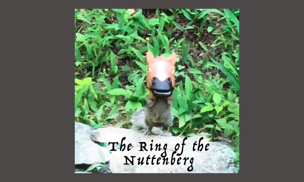 My Failed Squirrel Operetta Mcsweeney S Internet Tendency